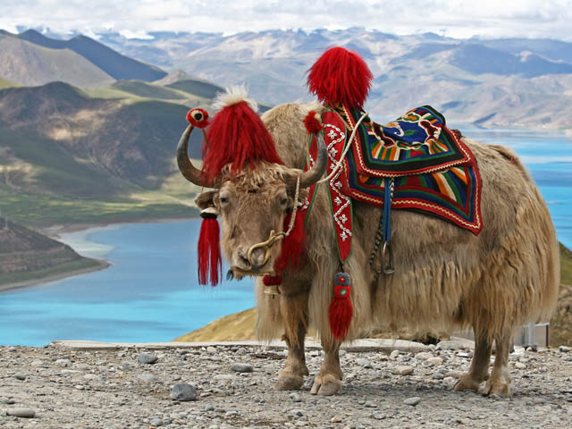 Bhutan