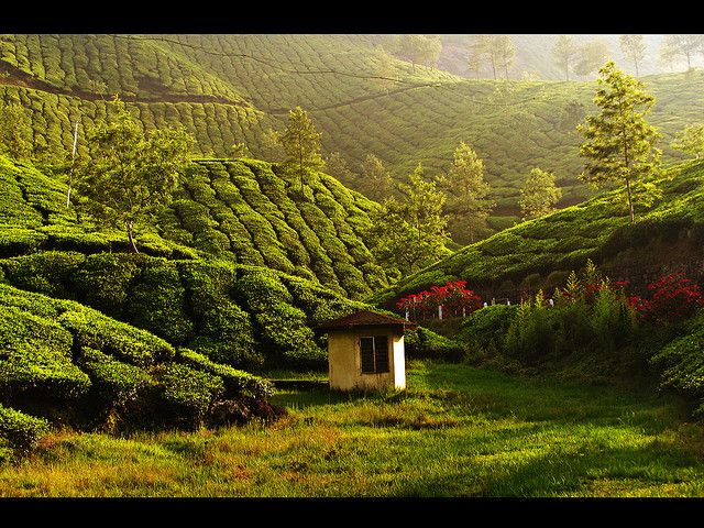 Kerala